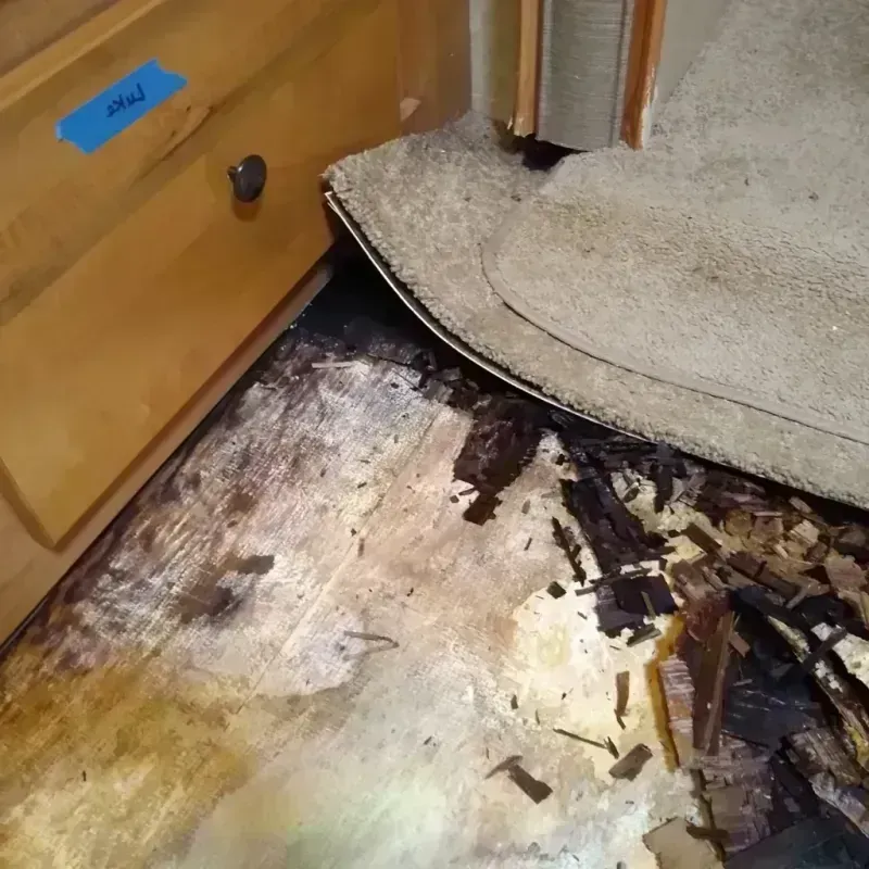 Wood Floor Water Damage in Maumelle, AR